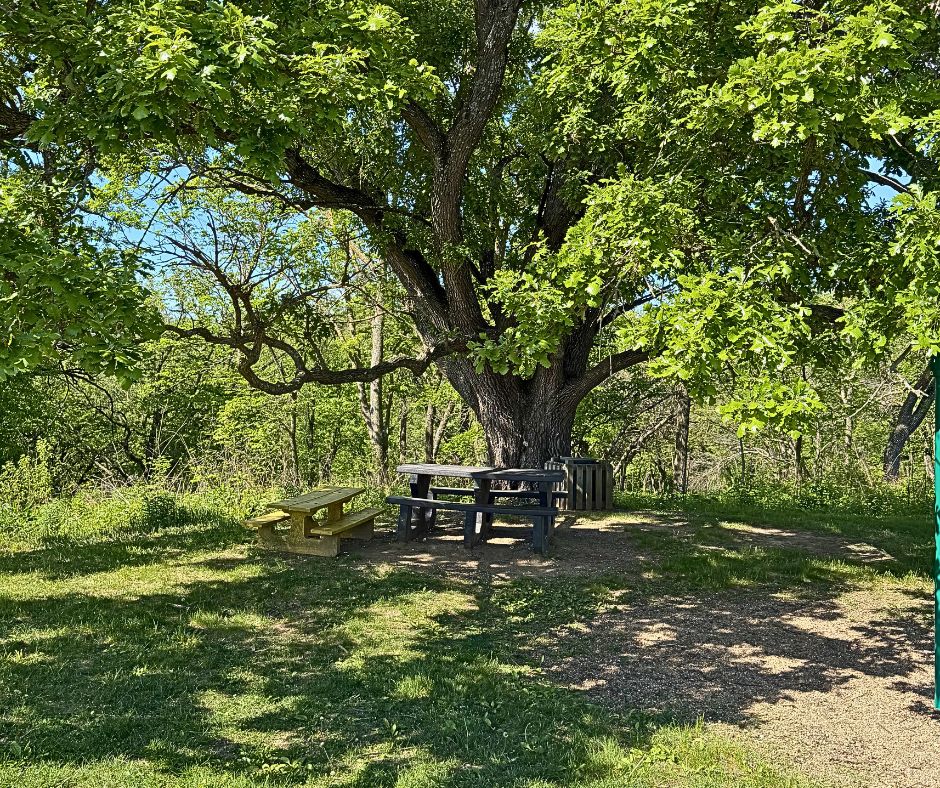 Hitchcock-Nature-Center-Playground9
