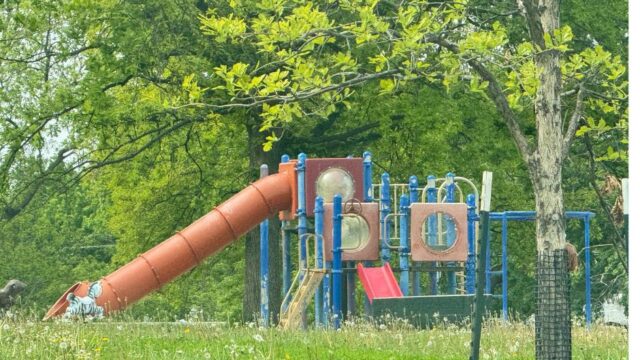 McKinley-Park
