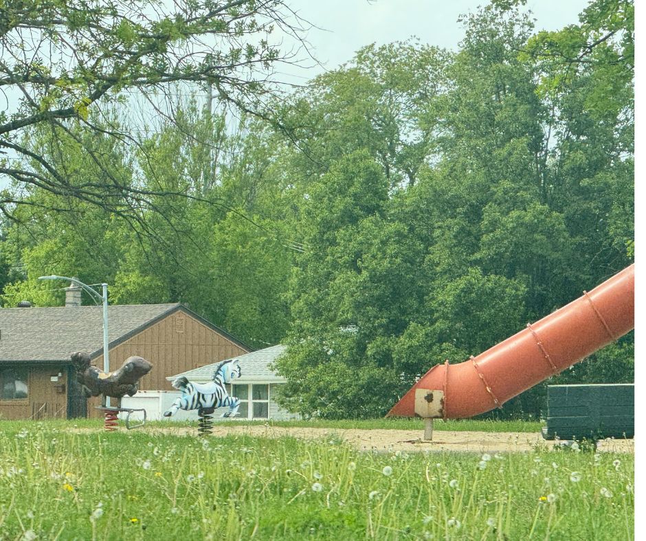 McKinley-Park2