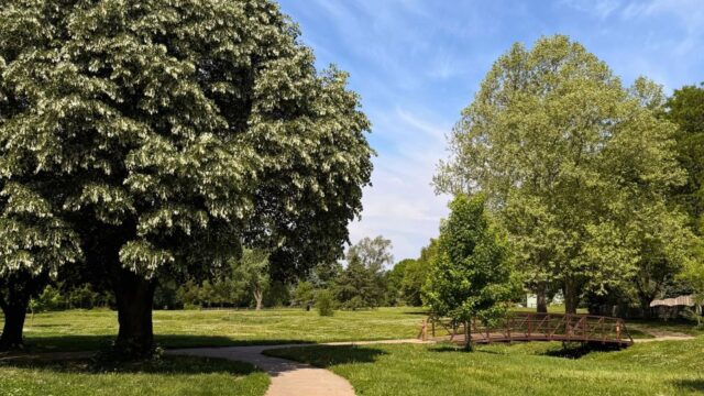 Pacific-Meadows-Park3