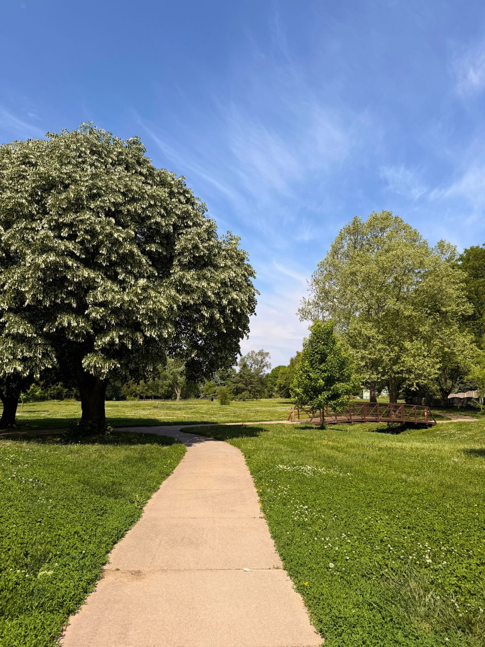 Pacific-Meadows-Park3