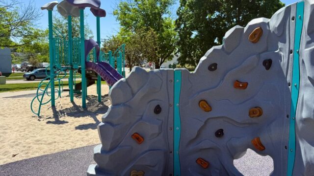 Palamino-Hills-Park3