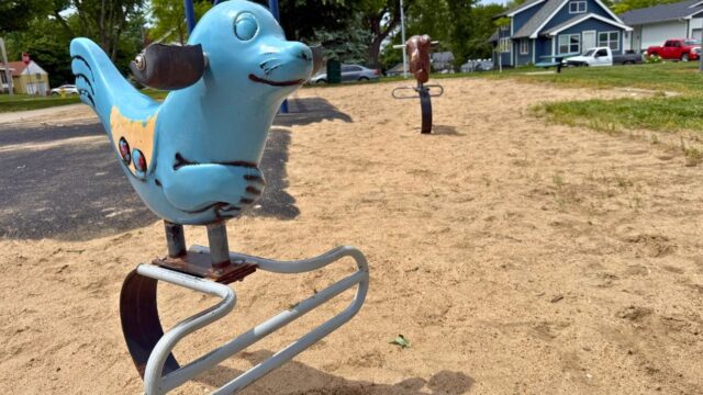 Pulaski-Park3