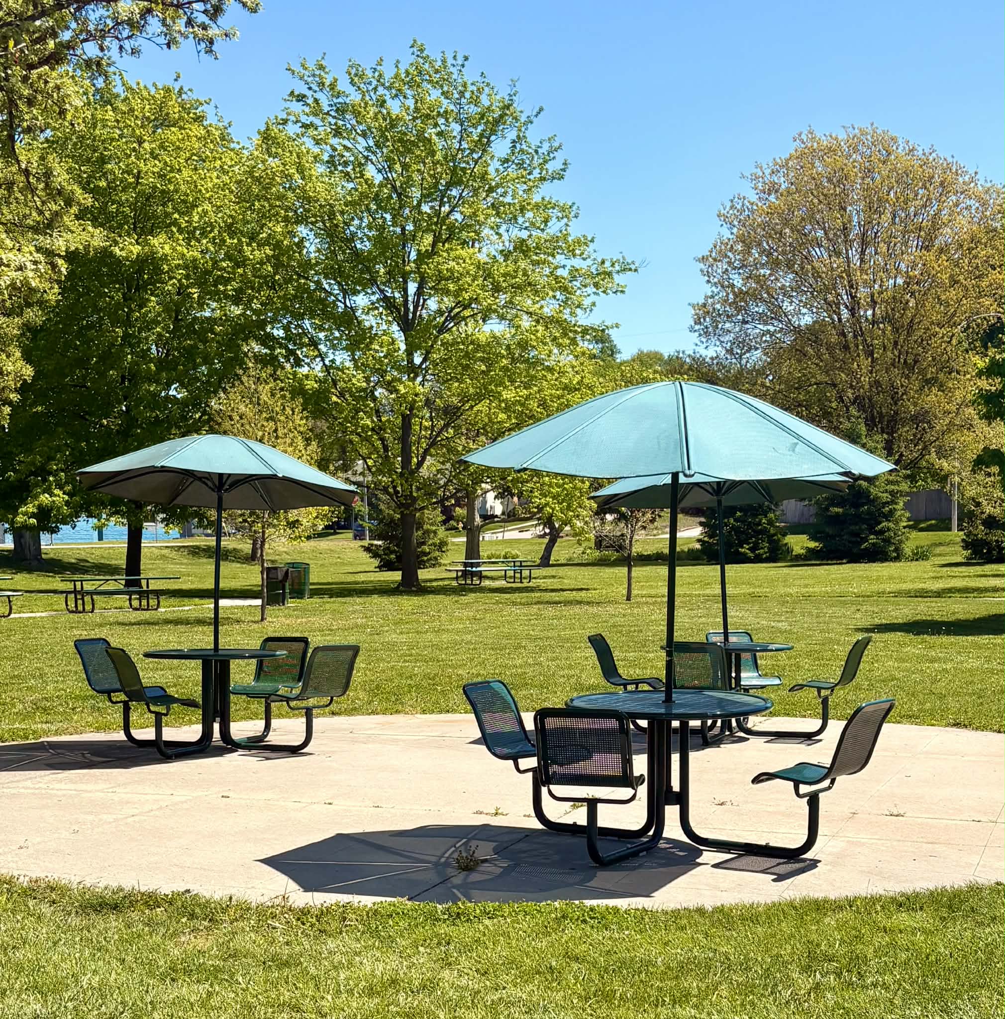 Schroeder-Vogel-Park (1)