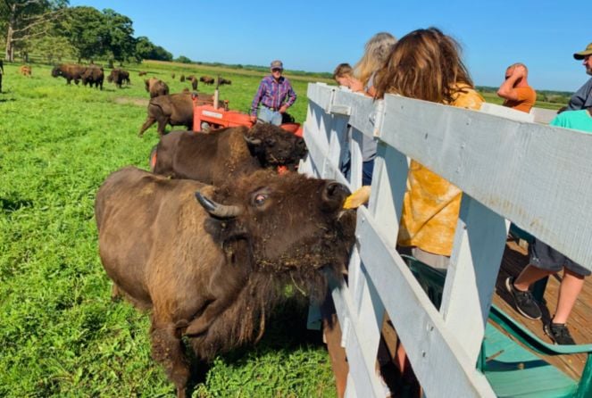 101 Great Things To Do In Iowa