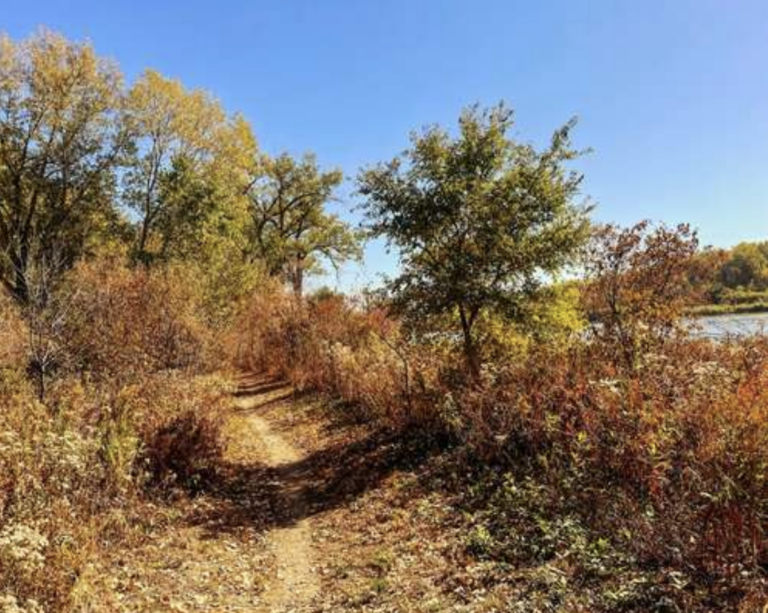 5 Great Trails To Try At Lake Manawa State Park